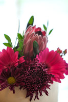 2014_Phillips_0006