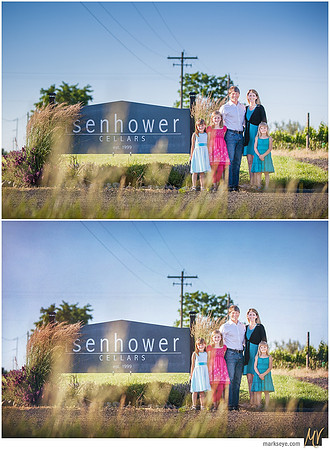 Digital Negative vs Signature Edit