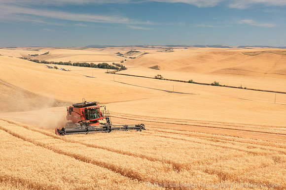 2025_VisitWW_03_Ag_WheatHarvest_0004