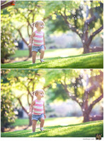 Digital Negative vs Signature Edit