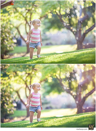 Digital Negative vs Signature Edit