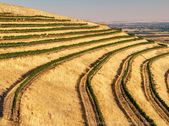2025_VisitWW_05_Vineyard_SerraPedace_0003