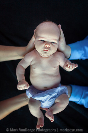 2012Portrait_Anderson_0009