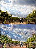 Digital Negative vs Signature Edit