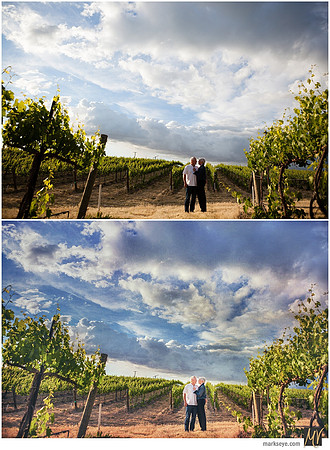 Digital Negative vs Signature Edit