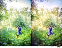 Digital Negative vs Signature Edit