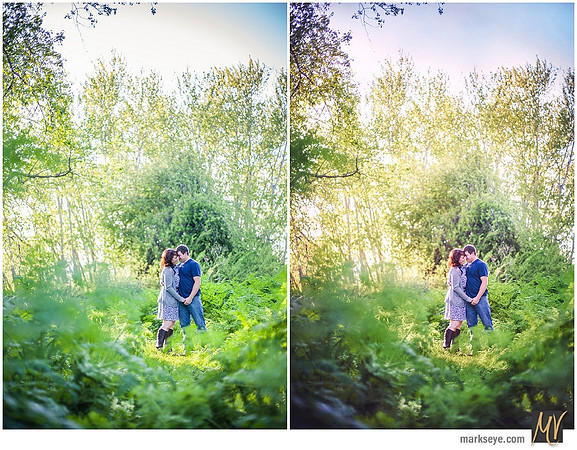 Digital Negative vs Signature Edit