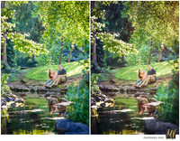 Digital Negative vs Signature Edit