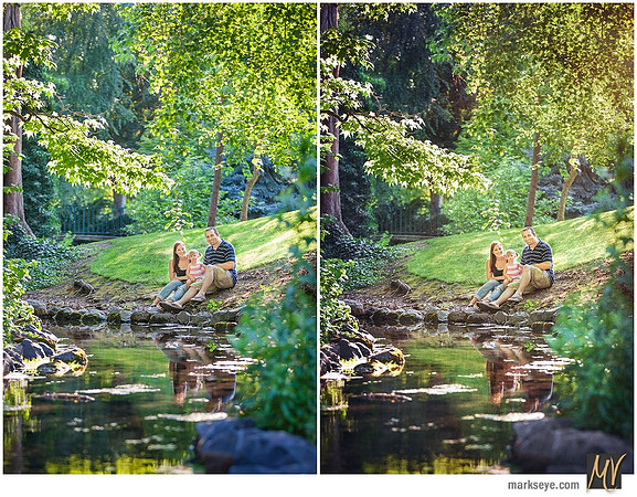Digital Negative vs Signature Edit