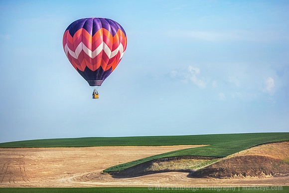 2013_BalloonStampede_0181 PS 1