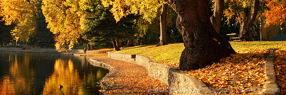 IMG_0110 pan mix wide alt3