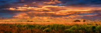 2010_SoaringLayers_0024 (5-28-10) PS 2 crop 3x1 (2025 edit)