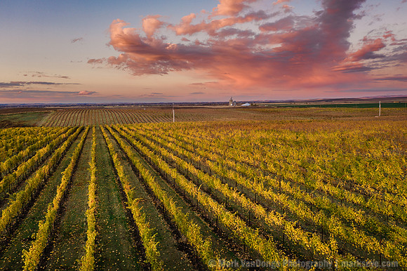 DJI_0382