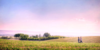 2014_E_ChristineBrandon_0010 edit 1 pano 1