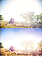 Digital Negative vs Signature Edit