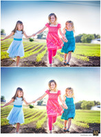 Digital Negative vs Signature Edit