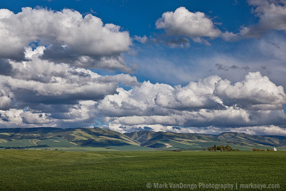 CottonwoodClouds2010_0004 v2