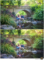 Digital Negative vs Signature Edit
