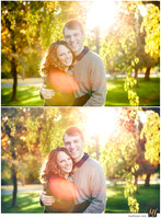 Basic Edit vs Signature Edit