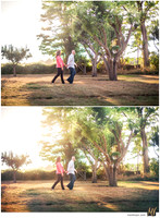 Digital Negative vs Signature Edit