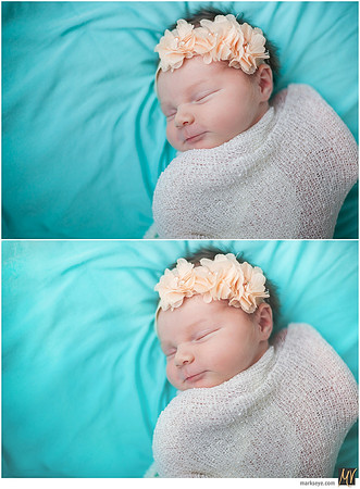 Basic Edit vs Signature Edit