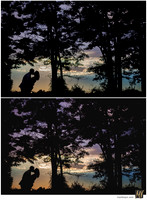 Digital Negative vs Signature Edit