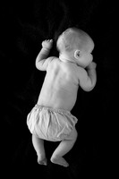 2012Portrait_Anderson_0001bw