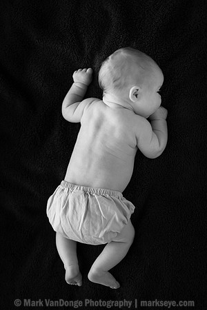 2012Portrait_Anderson_0001bw