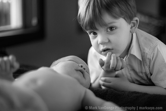 2012Portrait_Anderson_0005bw