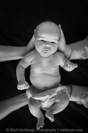 2012Portrait_Anderson_0009bw