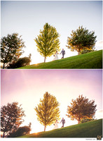 Basic Edit vs Signature Edit