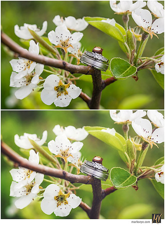 Basic Edit vs Signature Edit