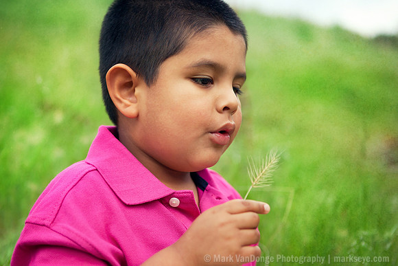 2012Portrait_Aiden_0006