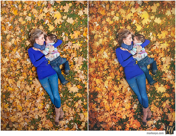Basic Edit vs Signature Edit