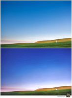 Basic Edit vs Signature Edit