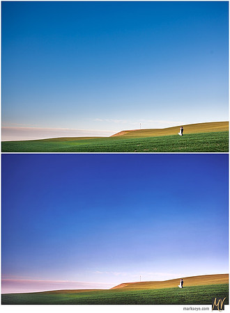 Basic Edit vs Signature Edit