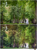 Basic Edit vs Signature Edit