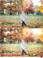 Basic Edit vs Signature Edit