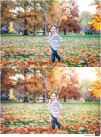 Basic Edit vs Signature Edit