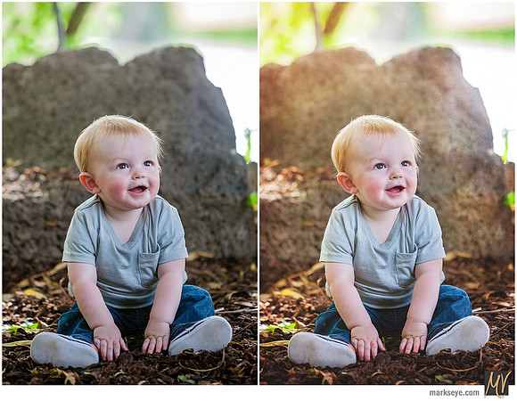 Basic Edit vs Signature Edit