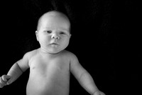 2012Portrait_Anderson_0003bw