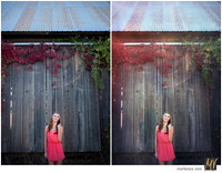 Digital Negative vs Signature Edit
