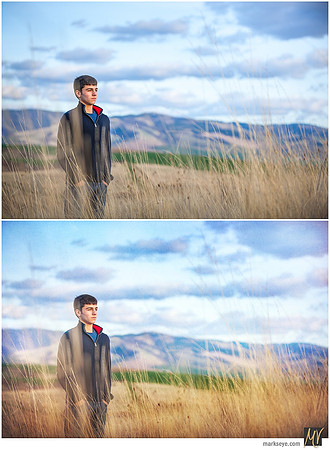 Basic Edit vs Signature Edit