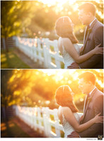 Basic Edit vs Signature Edit