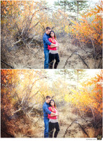 Basic Edit vs Signature Edit
