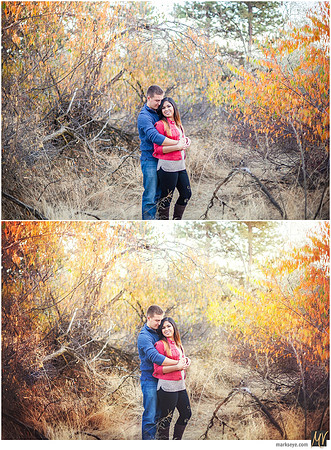 Basic Edit vs Signature Edit