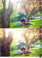 Basic Edit vs Signature Edit
