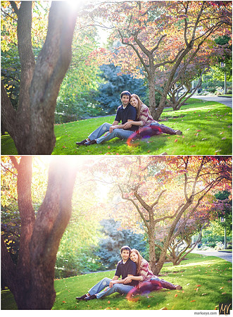 Basic Edit vs Signature Edit