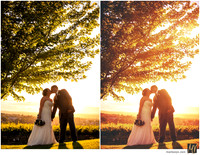 Basic Edit vs Signature Edit