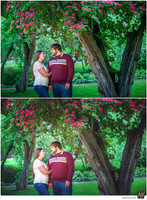 Basic Edit vs Signature Edit